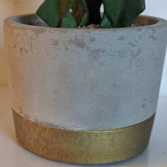 NWT Ashland Faux Triple Succulent Plant As-Is Pot Floral Michael's Desert Summer - Picture 7 of 10